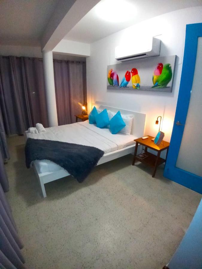 P4 Pr Rentals Condado Beach Guesthouse San Juan Dış mekan fotoğraf