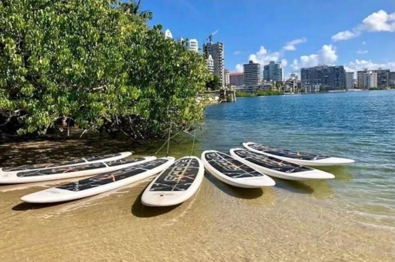 P4 Pr Rentals Condado Beach Guesthouse San Juan Dış mekan fotoğraf