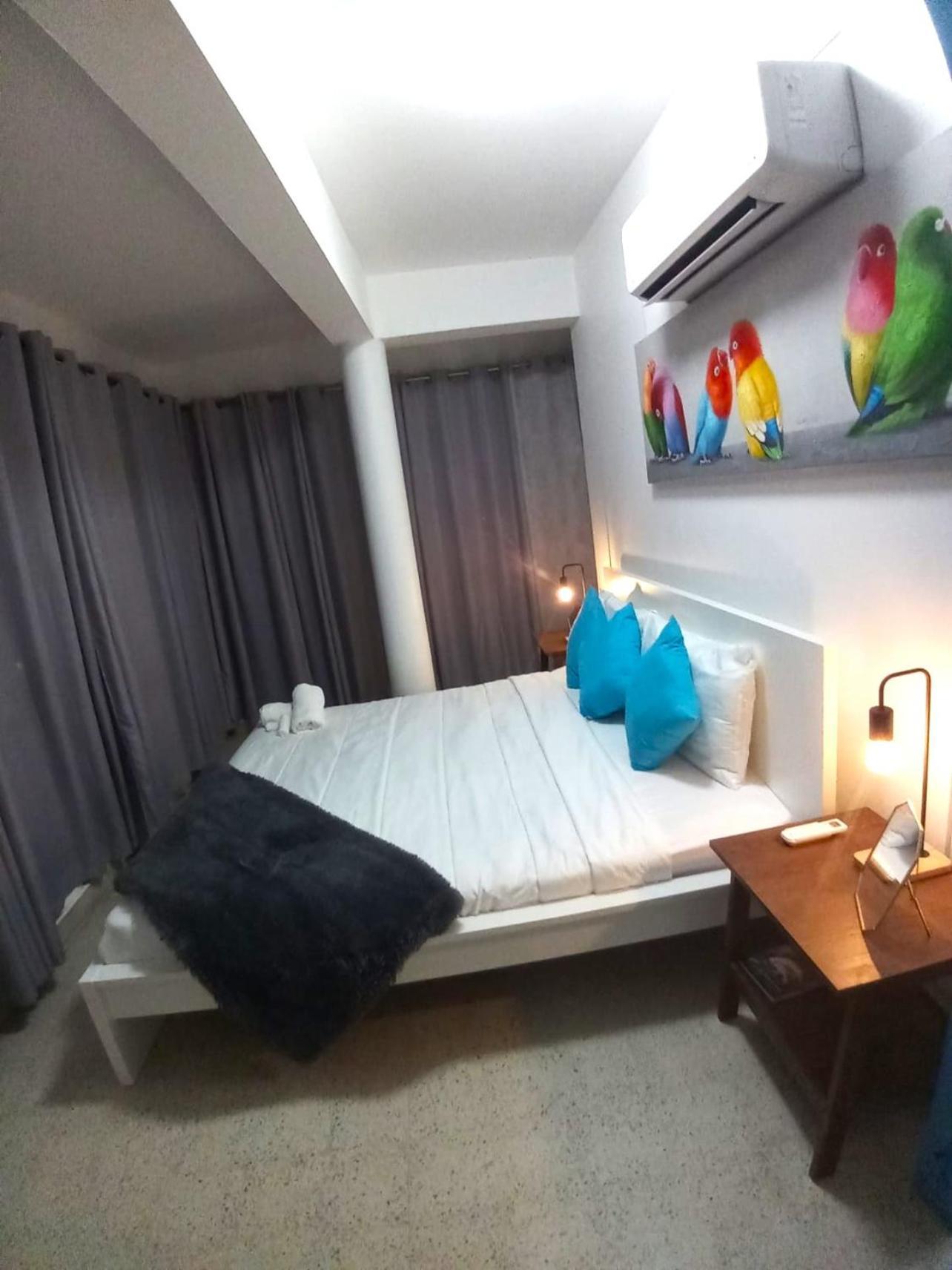 P4 Pr Rentals Condado Beach Guesthouse San Juan Dış mekan fotoğraf